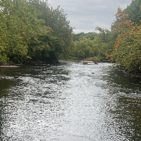 rudypeartアバター