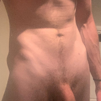 greybeardアバター